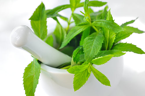 Cooling Peppermint: The “tingle” in the BFN Licorice Root Elixir